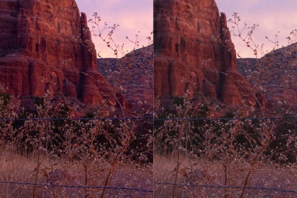 Perbedaan dan Keunggulan Antara Format Gambar JPEG dan RAW